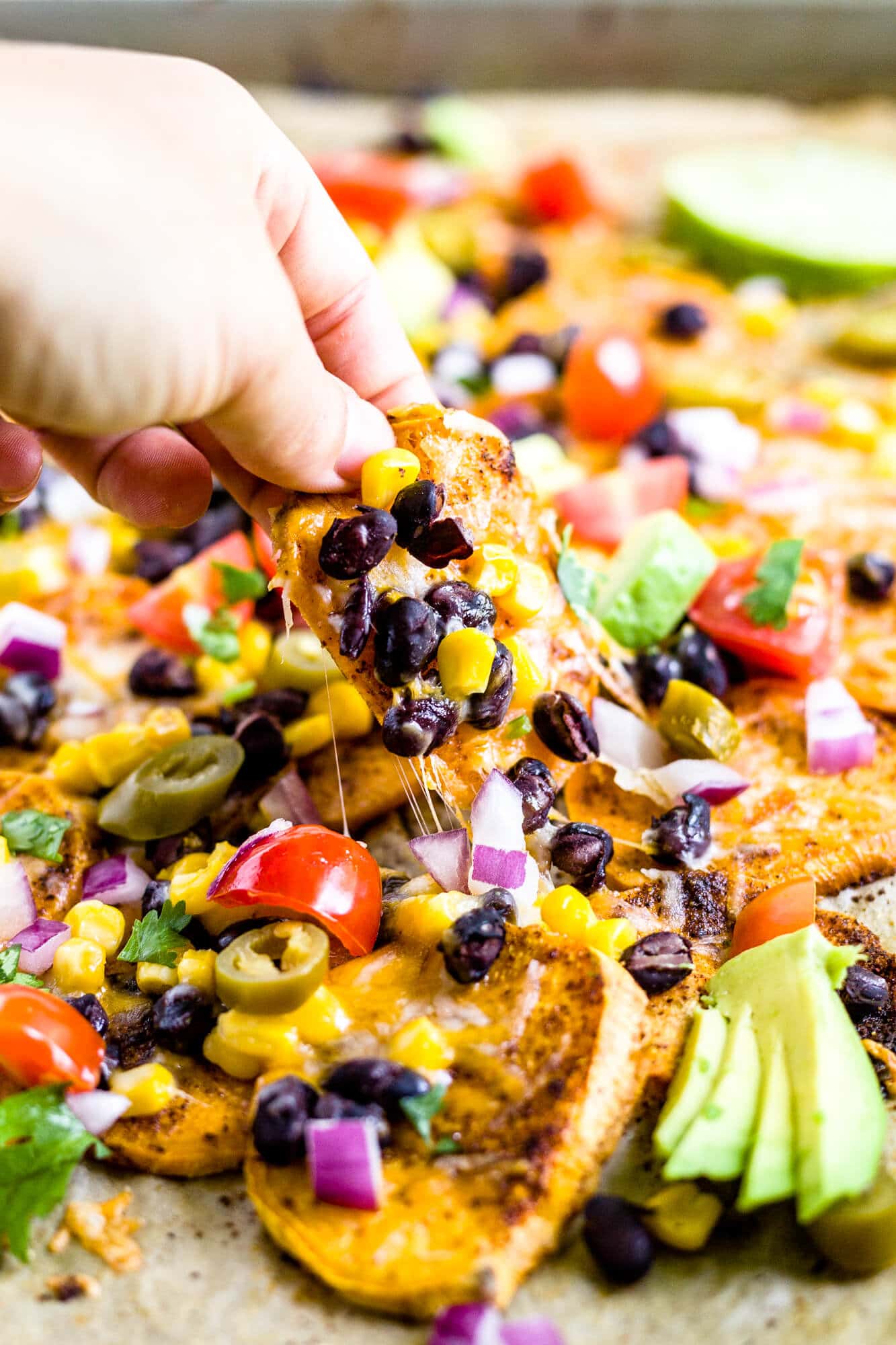 a hand picking up sweet potato nachos from a tray with melted cheese and black baans