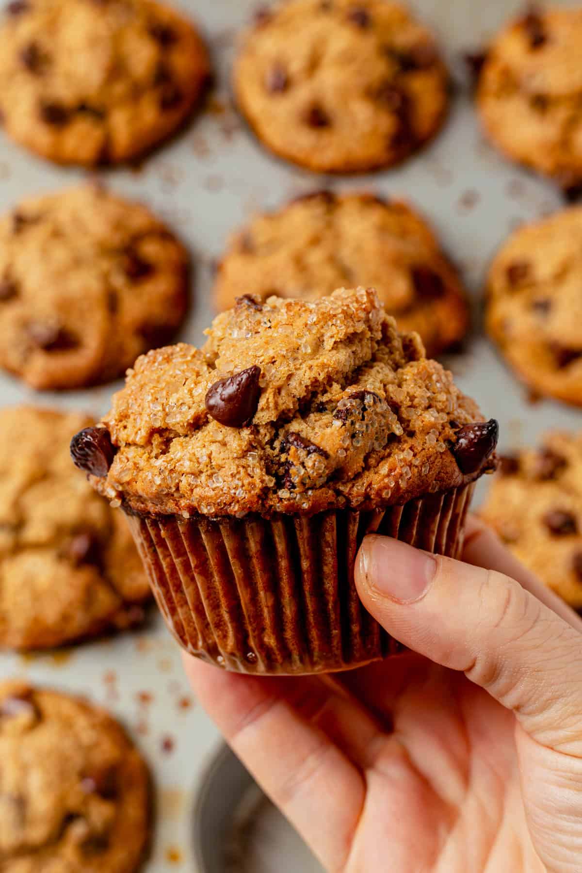 holding oatmeal chocolate chip muffin with a big dome and crunchy sugar on top