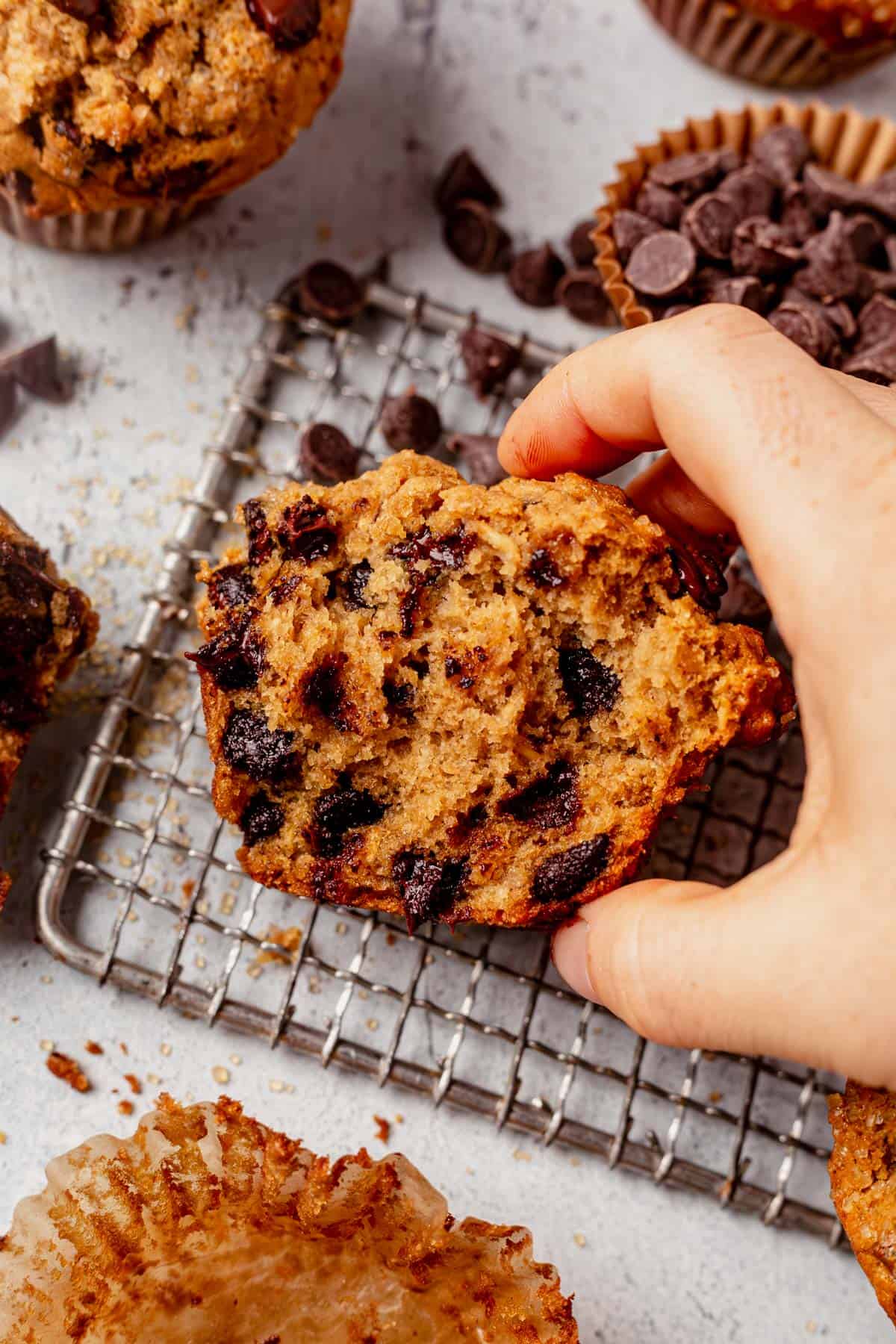 an oatmeal chocolate chip muffin broken in half to see melted chocolate chips