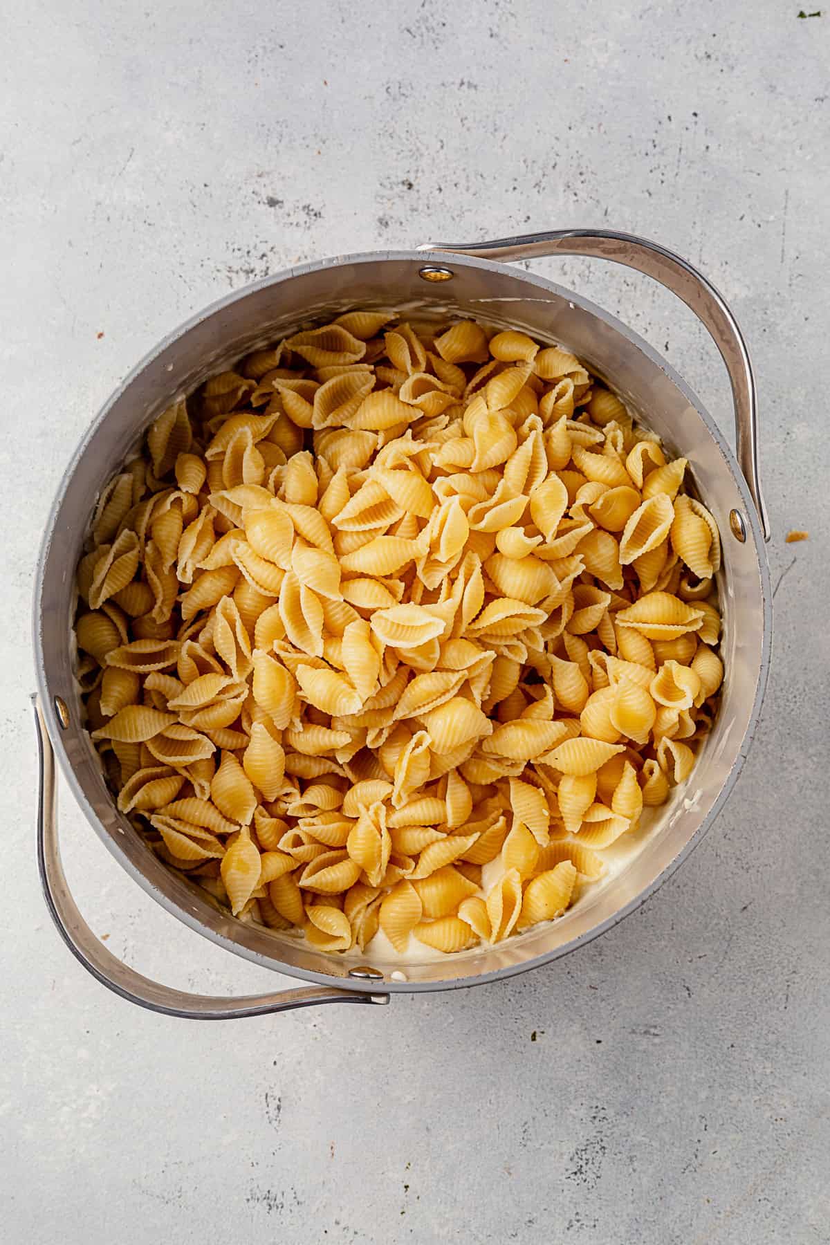 cooked pasta shells in a pot