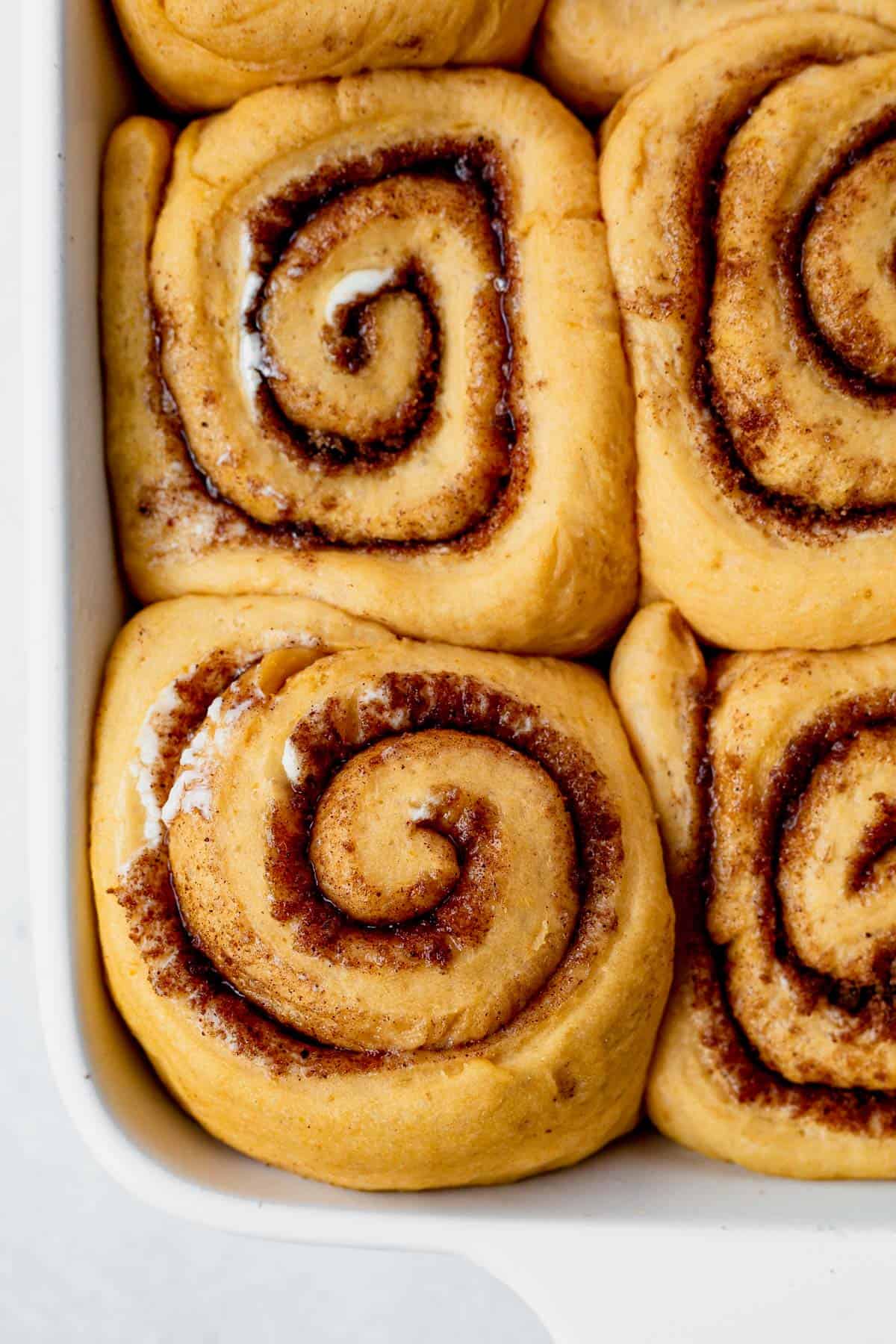 unbaked pumpkin cinnamon rolls in a baking dish