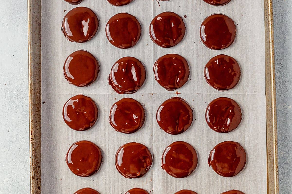 freshly coated ritz crackers in chocolate and peppermint extract